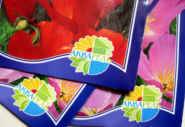 Семена: 10 самых популярных производителей семян