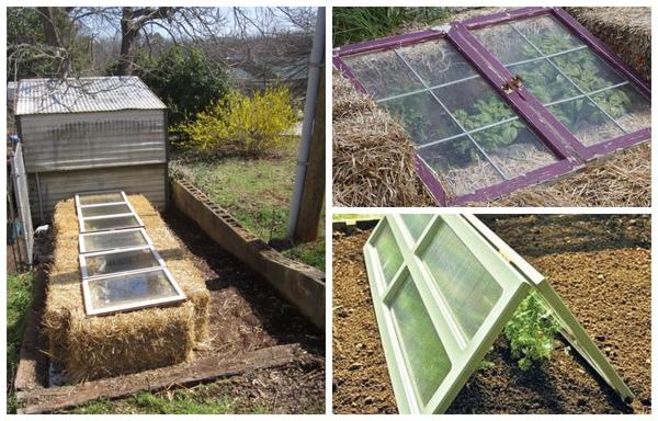 Варианты парников: готовые и сделанные своими руками. Фото