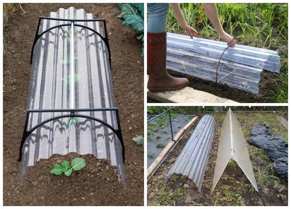 Варианты парников: готовые и сделанные своими руками. Фото