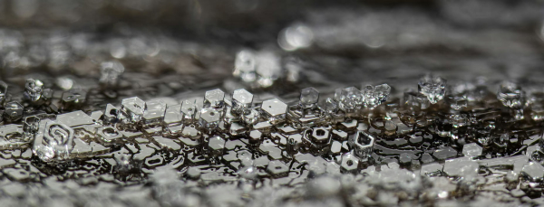 Конкурс микрофотографии Nikon Small World 2025