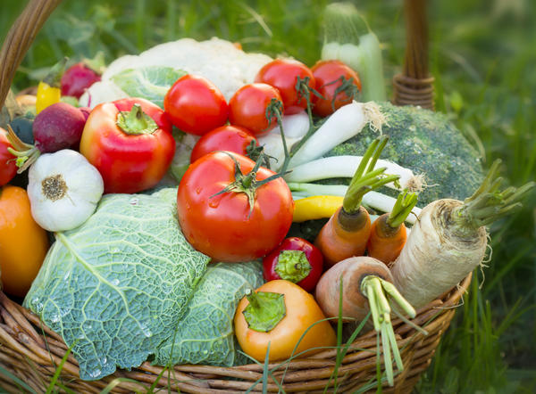 Подкормка для растений ЦИОН: свойства и отзывы