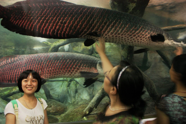 30 лучших развлечений в Шанхае для детей