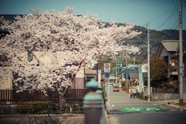 20 городов Японии, которые стоит посетить
