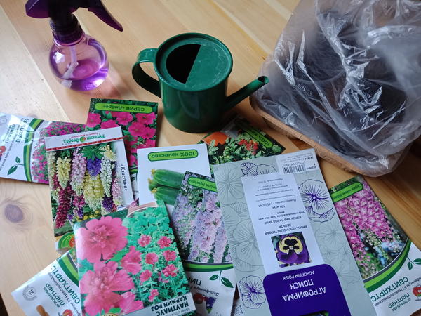 Что можно и нужно сеять в декабре на рассаду: цветы, деревья и кустарники