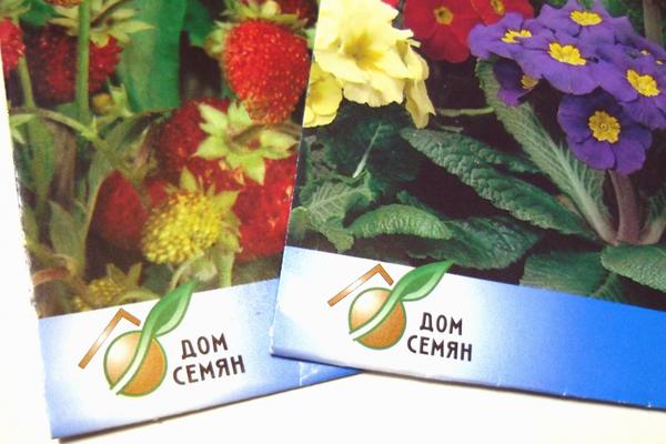 Семена: 10 самых популярных производителей семян