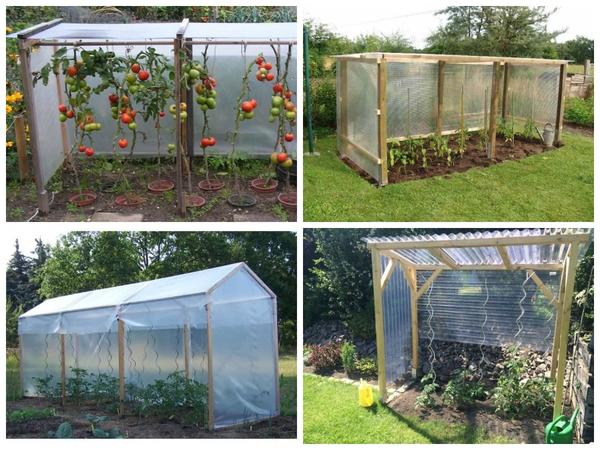 Варианты парников: готовые и сделанные своими руками. Фото