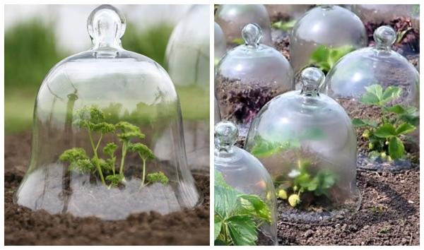 Варианты парников: готовые и сделанные своими руками. Фото