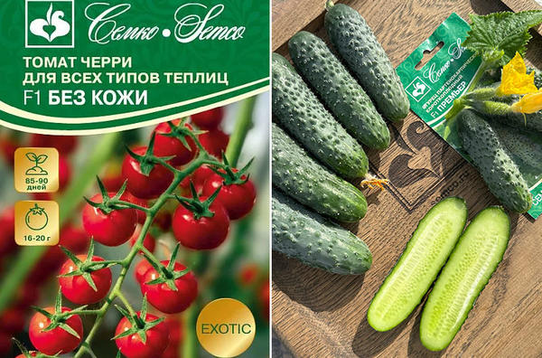 Современные производители семян: 17 популярных компаний