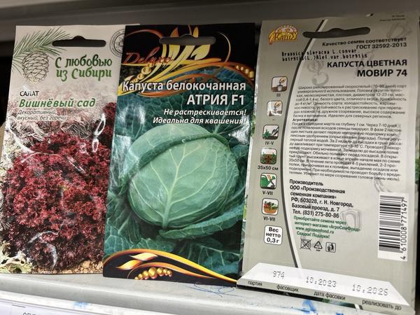 Современные производители семян: 17 популярных компаний