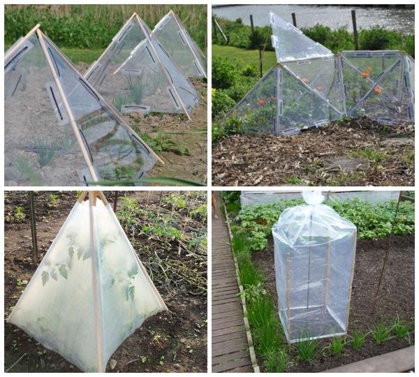 Варианты парников: готовые и сделанные своими руками. Фото