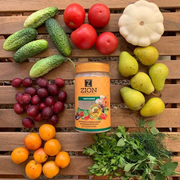 Подкормка для растений ЦИОН: свойства и отзывы