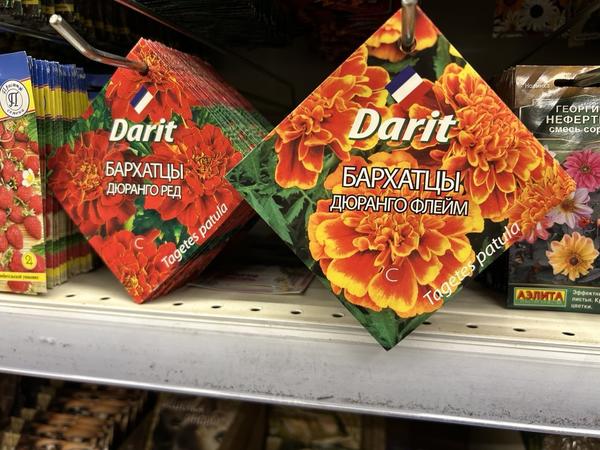 Современные производители семян: 17 популярных компаний