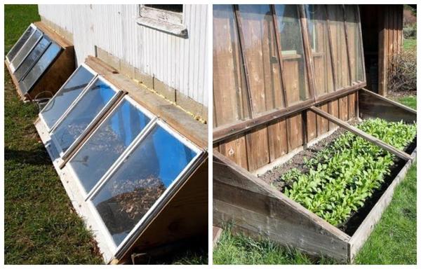 Варианты парников: готовые и сделанные своими руками. Фото