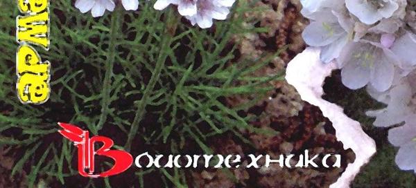 Семена: 10 самых популярных производителей семян