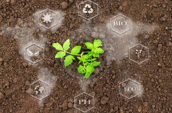 Зачем растениям нужны аминокислоты. 5 причин усовершенствовать подкормки