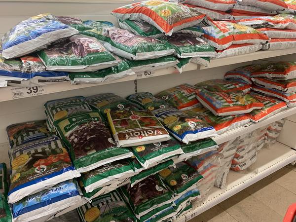 Что можно и нужно сеять в декабре на рассаду: цветы, деревья и кустарники