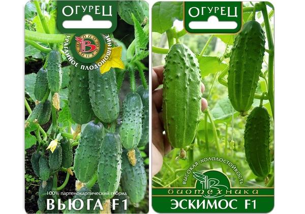 Современные производители семян: 17 популярных компаний