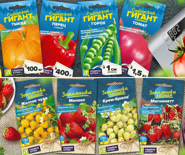 Современные производители семян: 17 популярных компаний