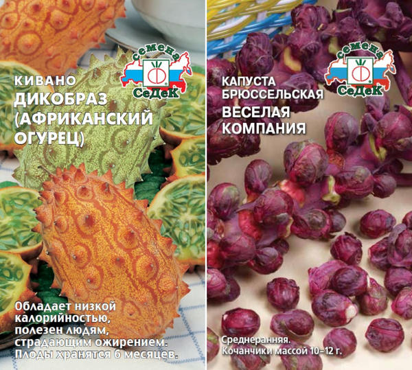 Современные производители семян: 17 популярных компаний