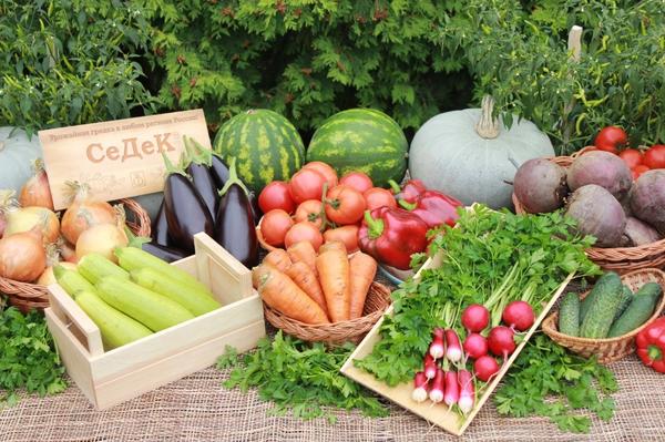 Современные производители семян: 17 популярных компаний