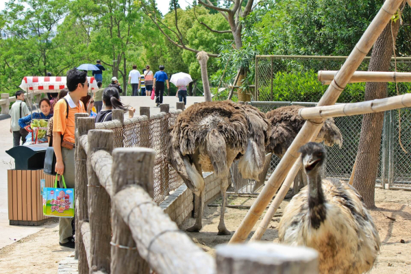 30 лучших развлечений в Шанхае для детей