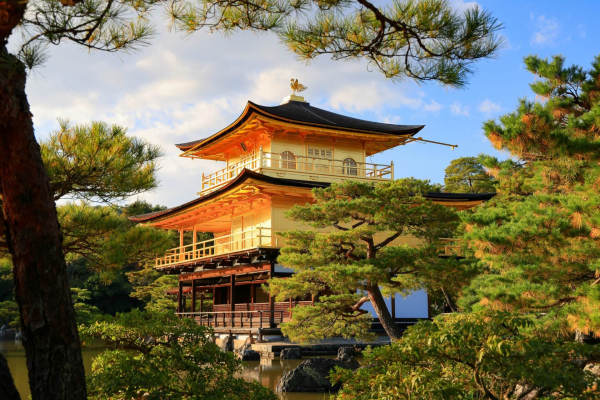 35 лучших достопримечательностей Киото