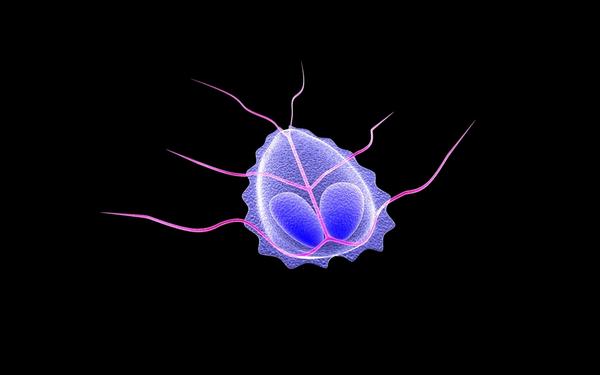 Фекалии как удобрение - можно ли использовать