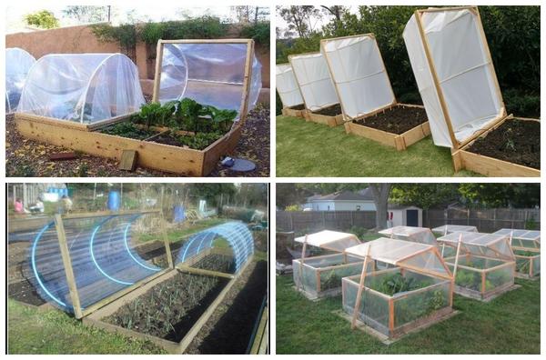Варианты парников: готовые и сделанные своими руками. Фото