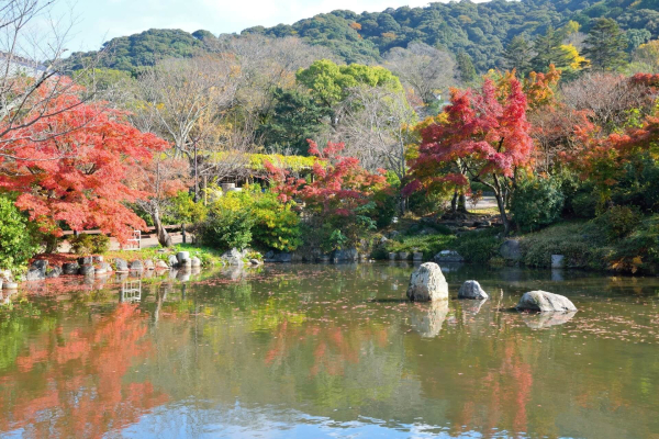 35 лучших достопримечательностей Киото