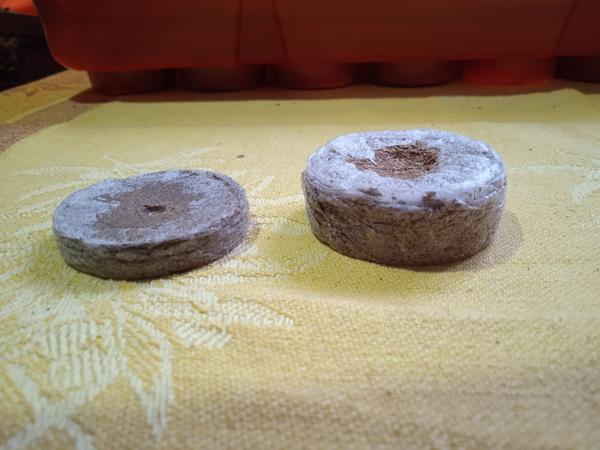 Торфяные или кокосовые? Тестируем таблетки для рассады и выбираем разные полезности