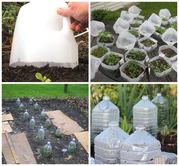 Варианты парников: готовые и сделанные своими руками. Фото