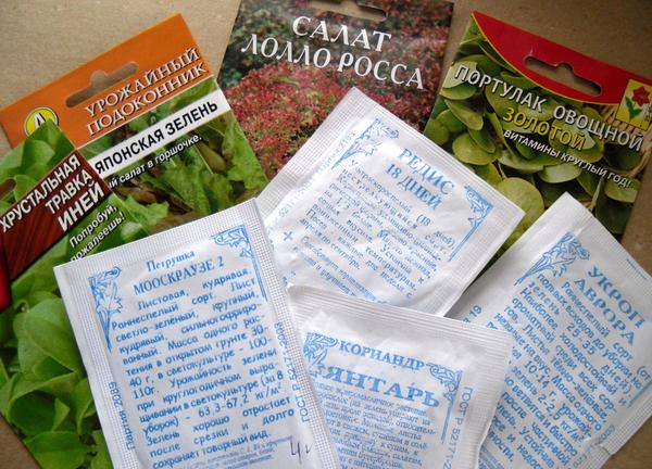 Огород на подоконнике: 10 секретов идеального домашнего огорода