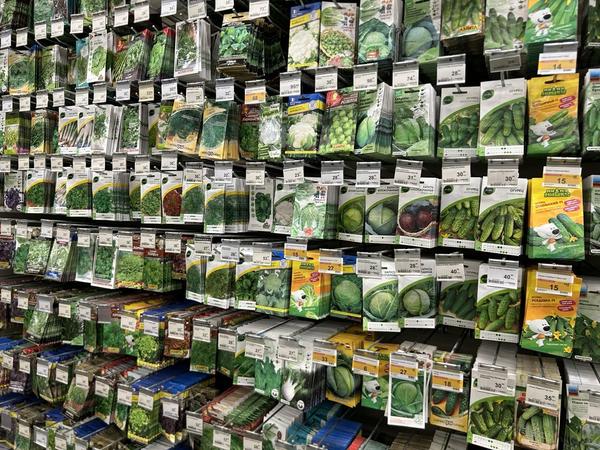 Современные производители семян: 17 популярных компаний