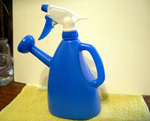 Огород на подоконнике: 10 секретов идеального домашнего огорода