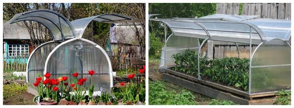 Варианты парников: готовые и сделанные своими руками. Фото
