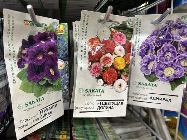 Современные производители семян: 17 популярных компаний