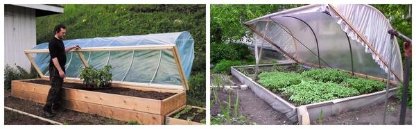 Варианты парников: готовые и сделанные своими руками. Фото