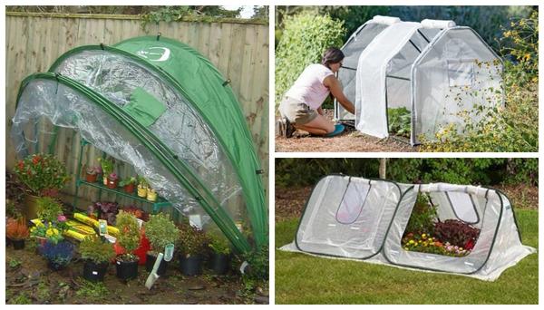 Варианты парников: готовые и сделанные своими руками. Фото