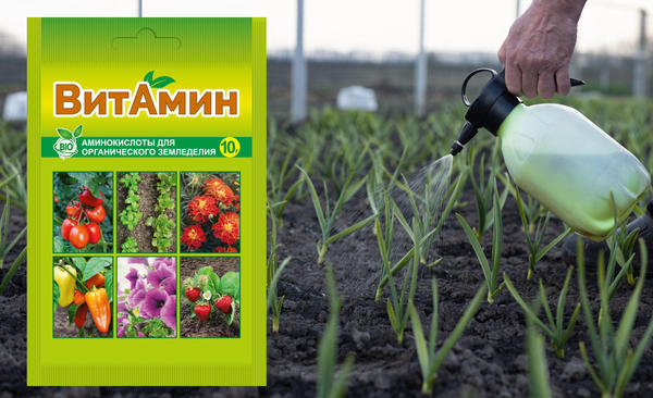 Зачем растениям нужны аминокислоты. 5 причин усовершенствовать подкормки