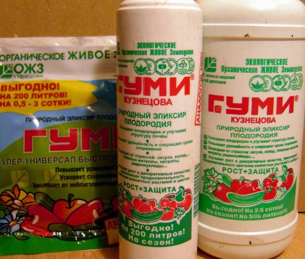 Огород на подоконнике: 10 секретов идеального домашнего огорода