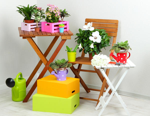 Подкормка домашних цветов натуральными удобрениями