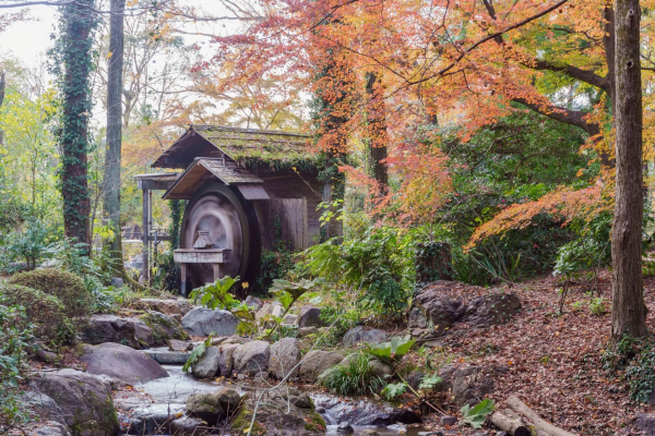 35 лучших достопримечательностей Киото