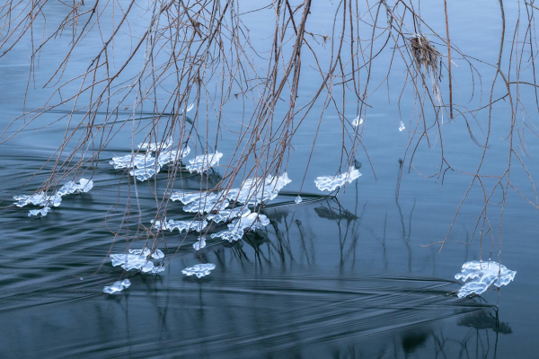 Увидеть мир вблизи