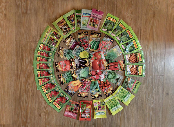 Современные производители семян: 17 популярных компаний