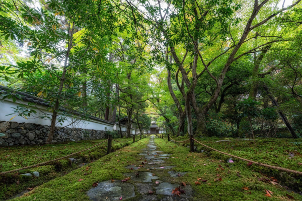 35 лучших достопримечательностей Киото