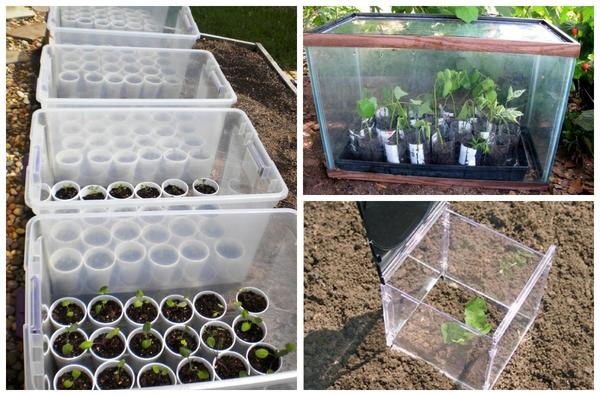 Варианты парников: готовые и сделанные своими руками. Фото