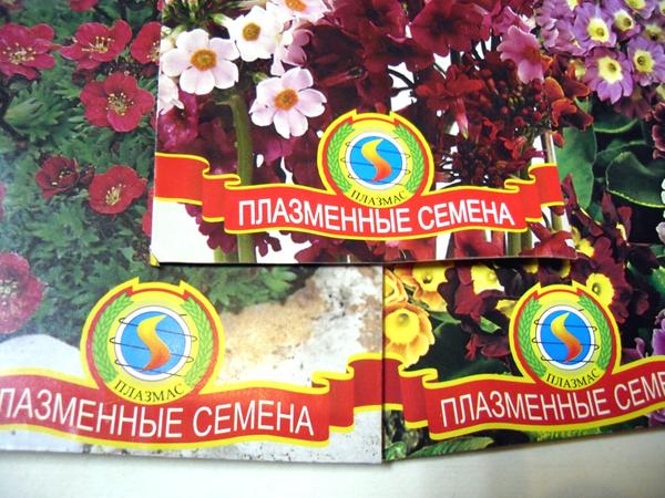 Семена: 10 самых популярных производителей семян