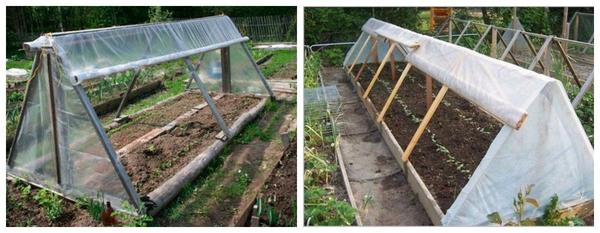 Варианты парников: готовые и сделанные своими руками. Фото