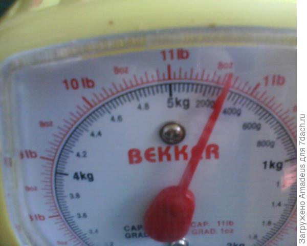 Мои любимчики-овощи. Удачные сорта для условий Урала