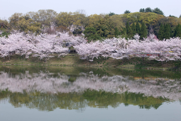 30 лучших достопримечательностей Осаки